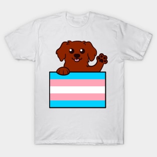 Love is Love Puppy - Red Trans Pride Flag T-Shirt